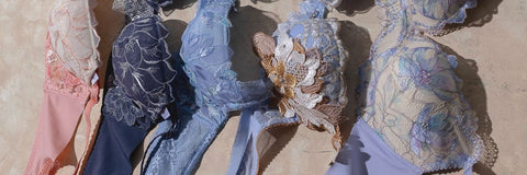 Luxury in Every Stitch: Why Wacoal's Premium Bra and Underwear Deserves Your Investment