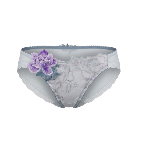Lacey Hipster Panty (PTJ736)
