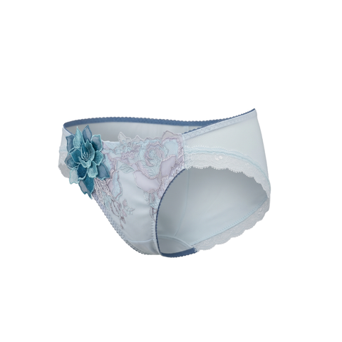 Lacey Hipster Panty (PTJ736)