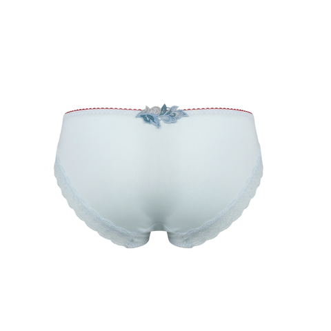Lacey Hipster Panty (PTJ736)
