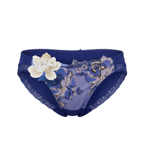 Lacey Hipster Panty (PTJ736)