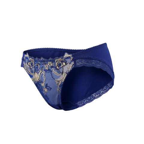 Lacey Hipster Panty (PTJ736)