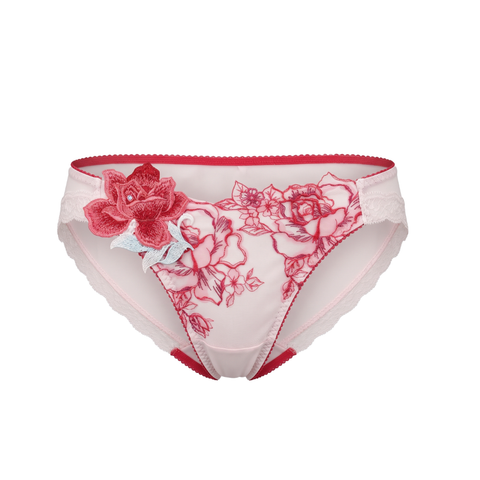 Lacey Hipster Panty (PTJ736)
