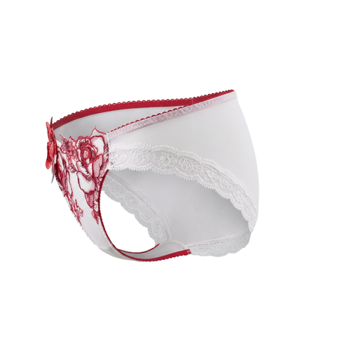 Lacey Hipster Panty (PTJ736)