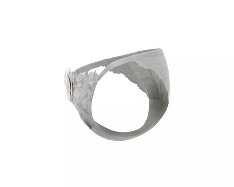 Lacey Hipster Panty (PTJ722)